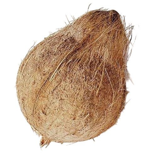 SEMI HUSKED COCONUT